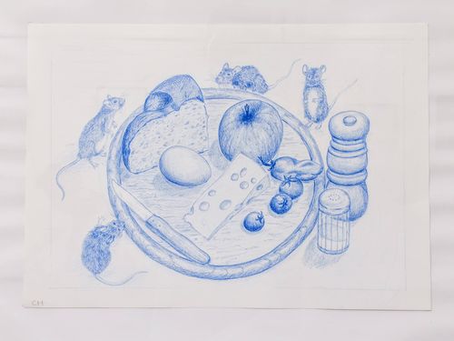 Graphite and pastel studies laid out across a drawing board